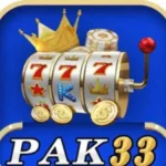 Pak 333 Game APK (real earning app) Free Download